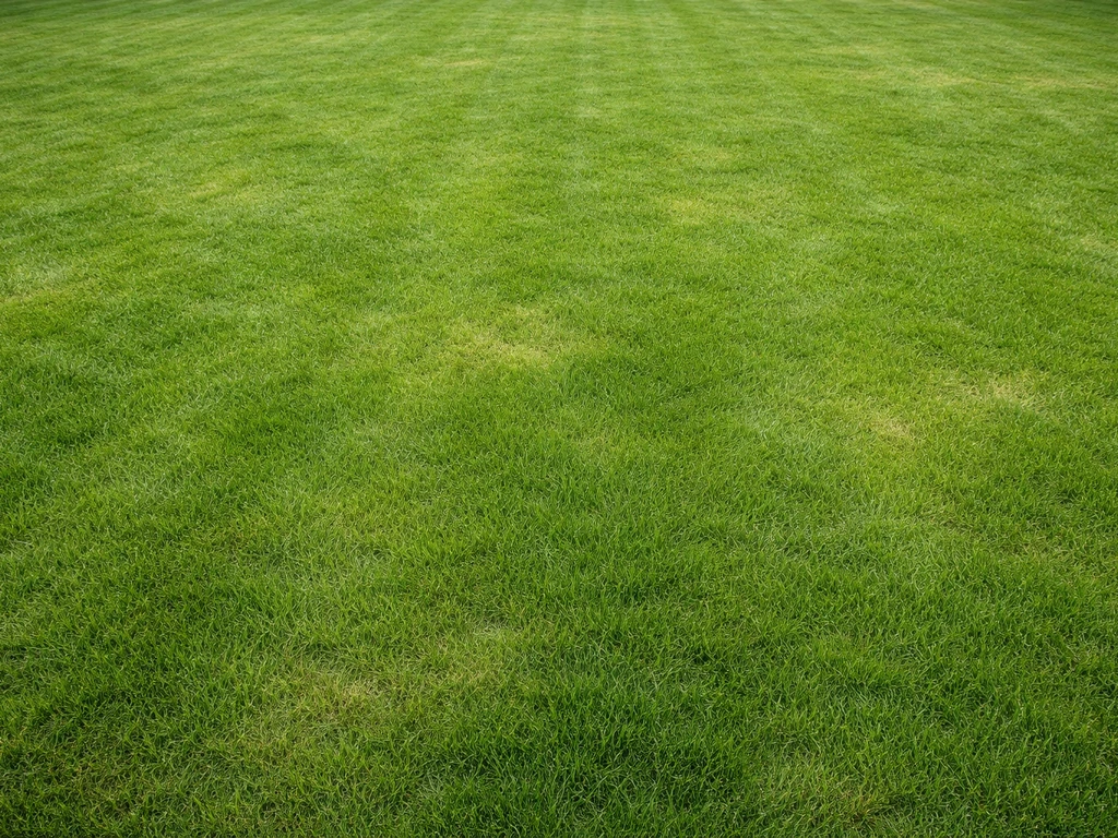 Bovenaanzicht van een gelijkmatig, gezond Nederlands gazon met fris lichtgroen gras.
