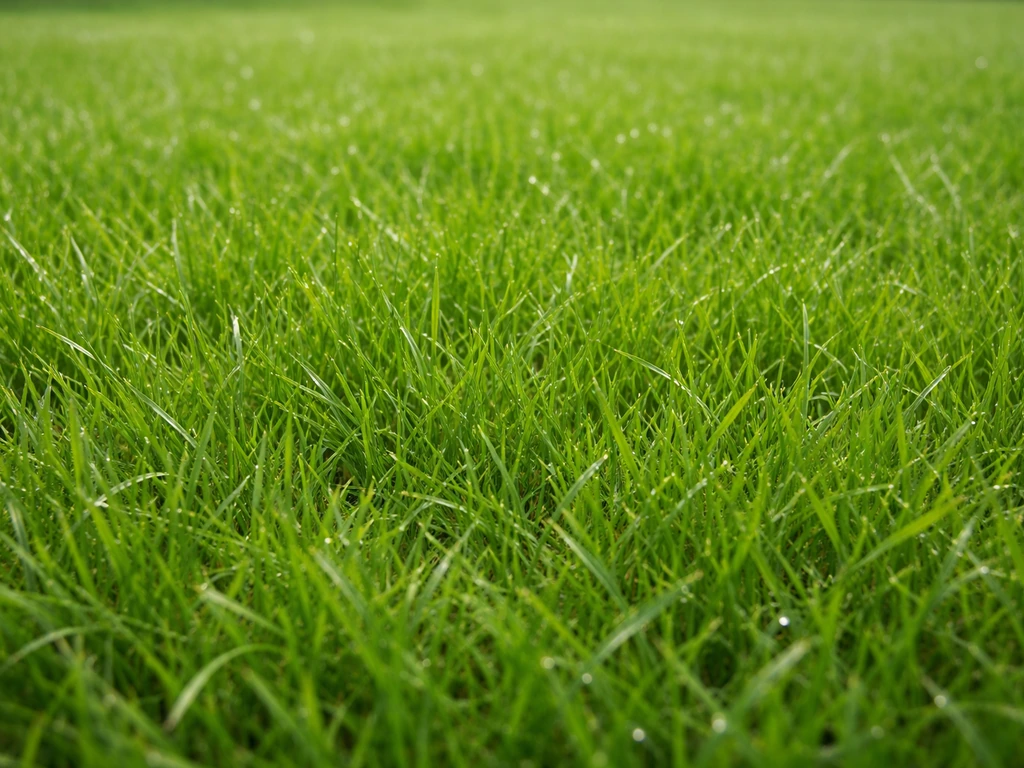 Close-up van een dicht en veerkrachtig gazon vol polletjes Engels raaigras, met ochtenddauw.